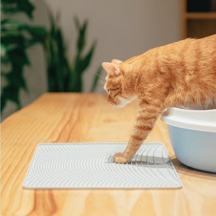 Pidan Cat Litter Mat | Cat Litter Supplies Toronto | ARMOR THE POOCH